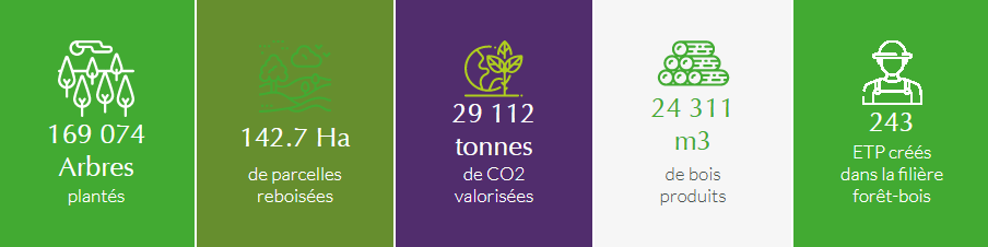 Mécéne Plantons pour l'avenir - Chiffres