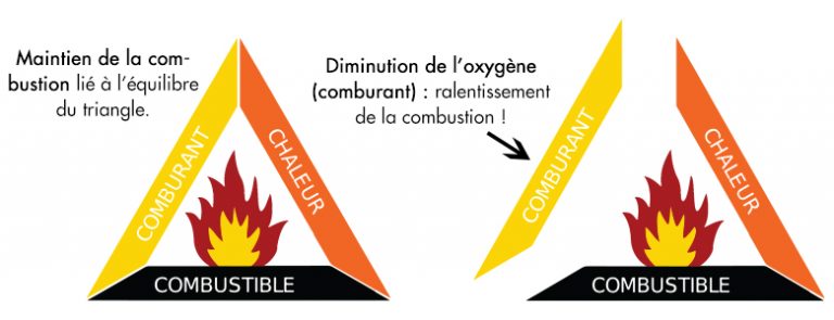 Fumage des aliments à chaud ou à froid : Guide Complet